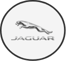 Jaguar Logo